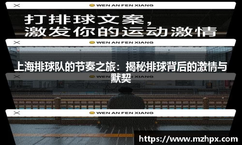 米兰体育上海排球队的节奏之旅：揭秘排球背后的激情与默契